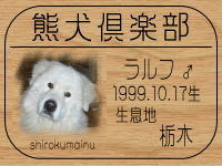 ���I�[�i�[�̓n�g�R����ł���